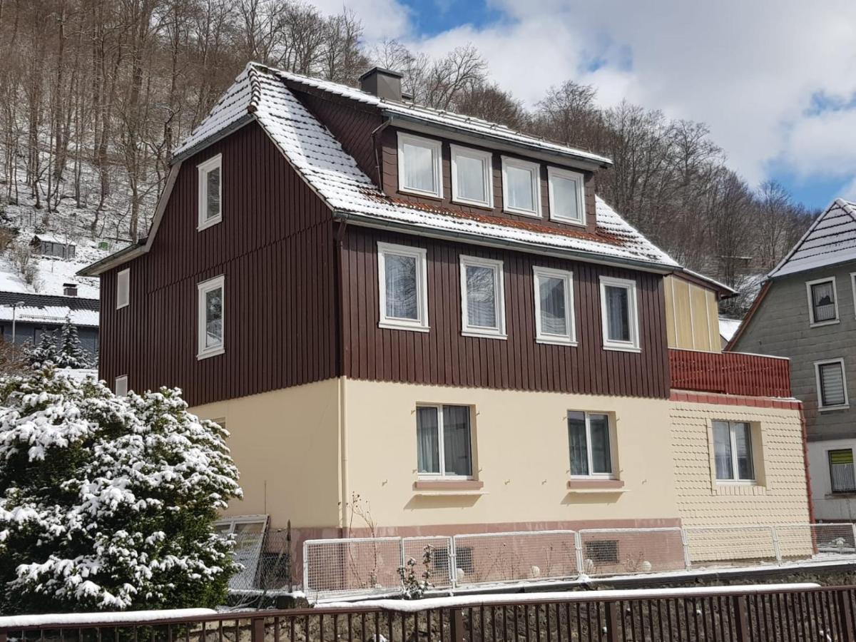 Ferienhaus Am Fluss Mit Traumhafter Dachterrasse ,Garten Und Grill Walkenried ภายนอก รูปภาพ