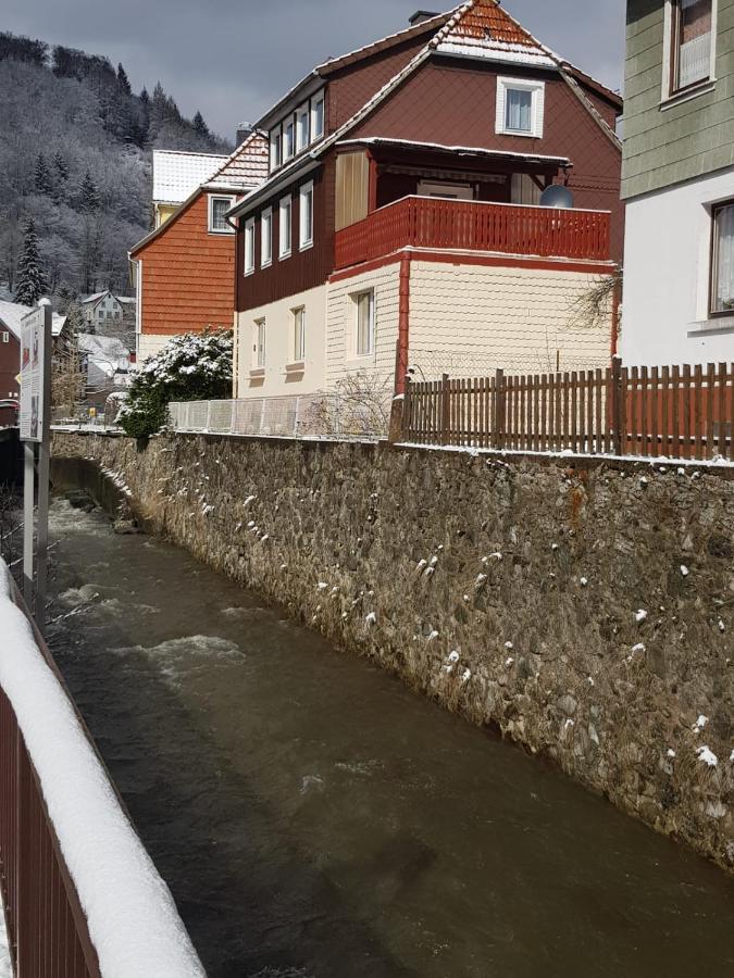 Ferienhaus Am Fluss Mit Traumhafter Dachterrasse ,Garten Und Grill Walkenried ภายนอก รูปภาพ