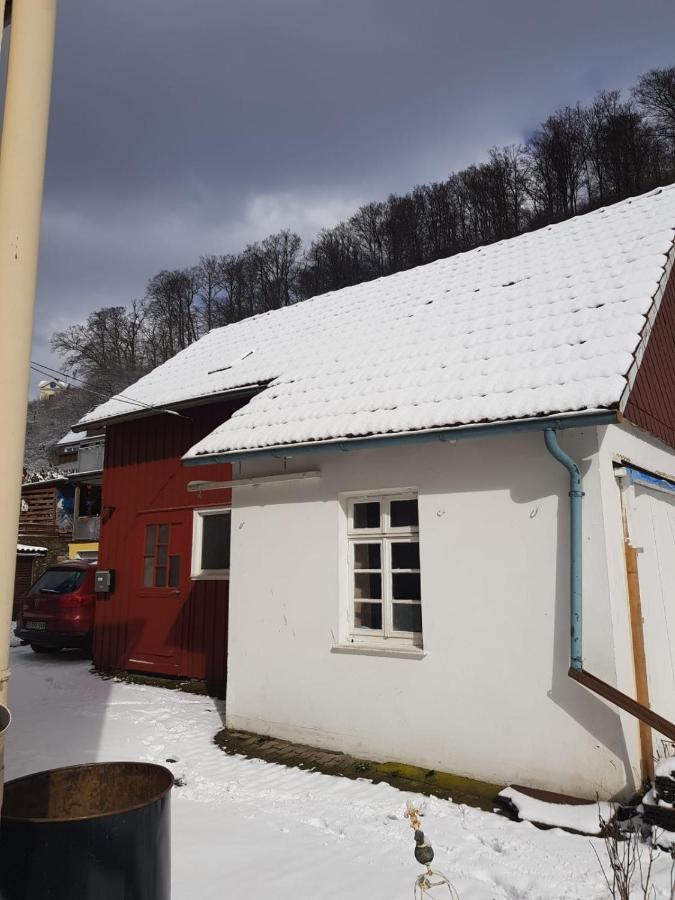 Ferienhaus Am Fluss Mit Traumhafter Dachterrasse ,Garten Und Grill Walkenried ภายนอก รูปภาพ