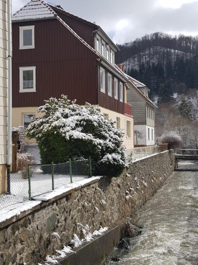 Ferienhaus Am Fluss Mit Traumhafter Dachterrasse ,Garten Und Grill Walkenried ภายนอก รูปภาพ
