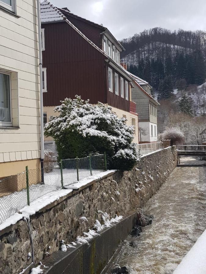 Ferienhaus Am Fluss Mit Traumhafter Dachterrasse ,Garten Und Grill Walkenried ภายนอก รูปภาพ