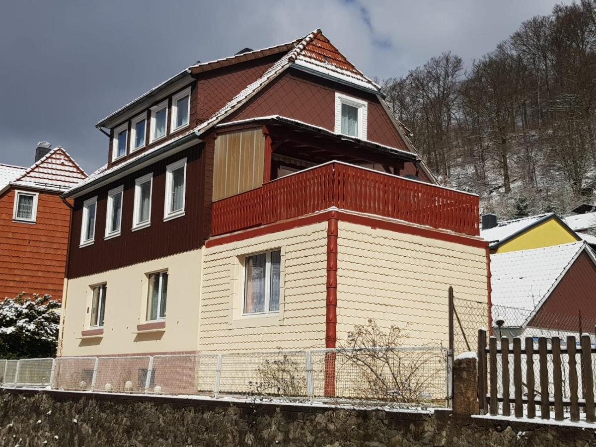 Ferienhaus Am Fluss Mit Traumhafter Dachterrasse ,Garten Und Grill Walkenried ภายนอก รูปภาพ