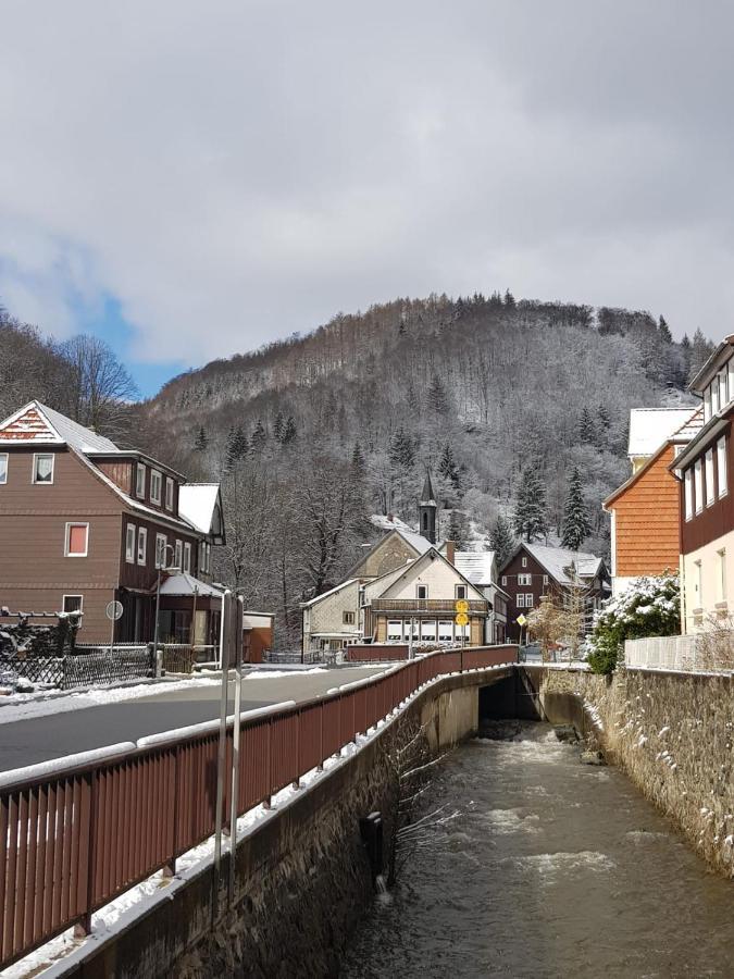 Ferienhaus Am Fluss Mit Traumhafter Dachterrasse ,Garten Und Grill Walkenried ภายนอก รูปภาพ