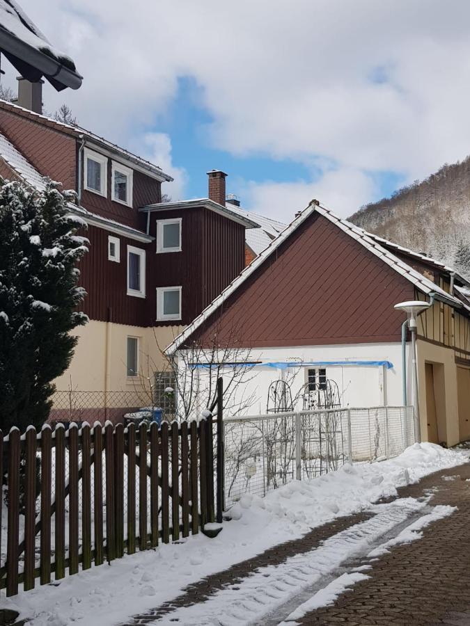 Ferienhaus Am Fluss Mit Traumhafter Dachterrasse ,Garten Und Grill Walkenried ภายนอก รูปภาพ