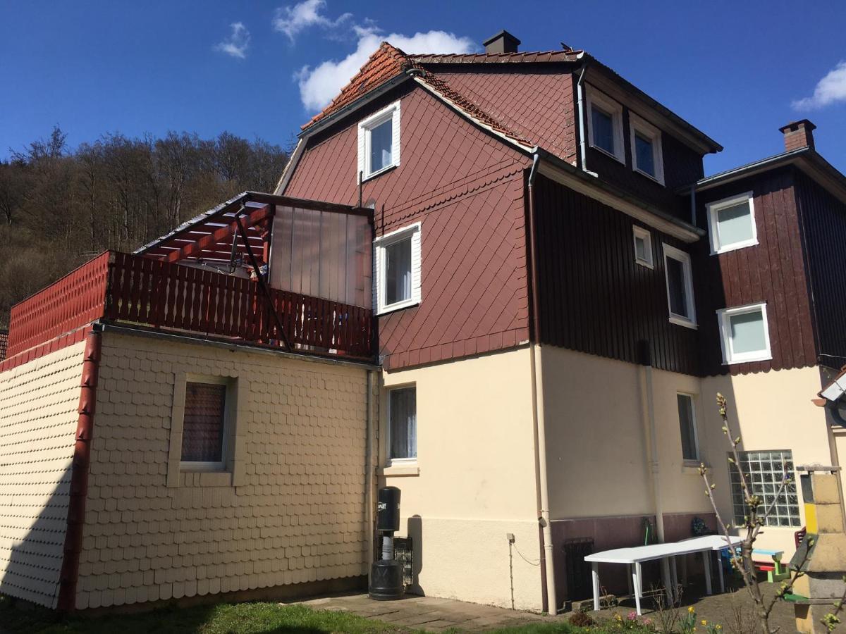 Ferienhaus Am Fluss Mit Traumhafter Dachterrasse ,Garten Und Grill Walkenried ภายนอก รูปภาพ