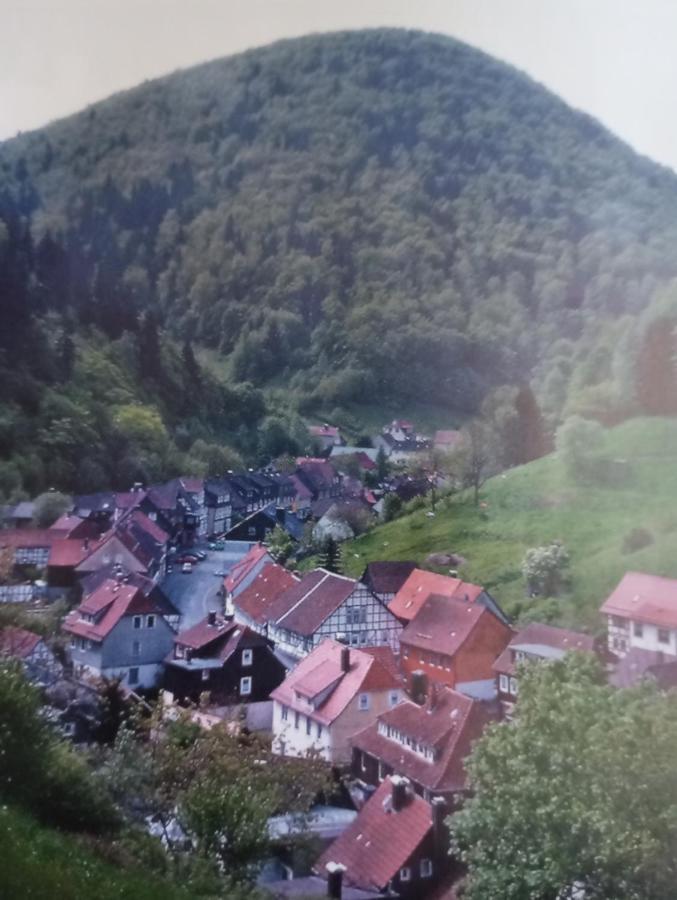 Ferienhaus Am Fluss Mit Traumhafter Dachterrasse ,Garten Und Grill Walkenried ภายนอก รูปภาพ